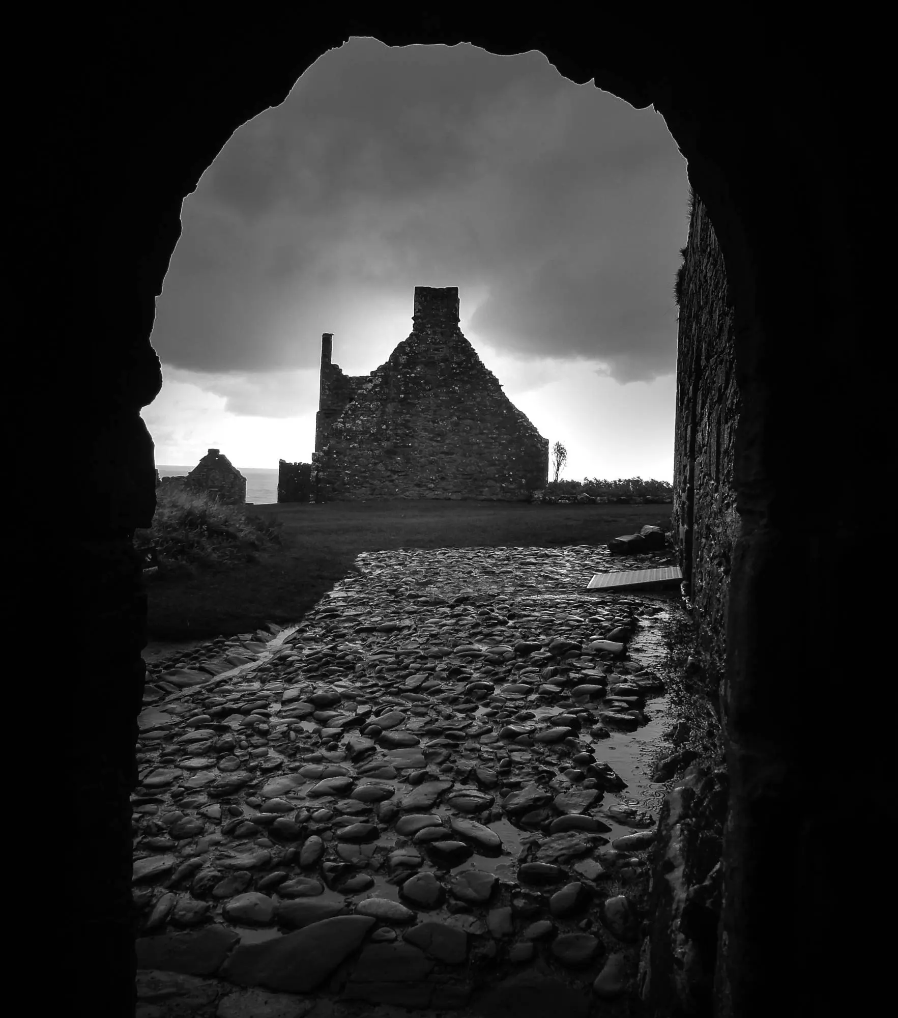 DSC008291