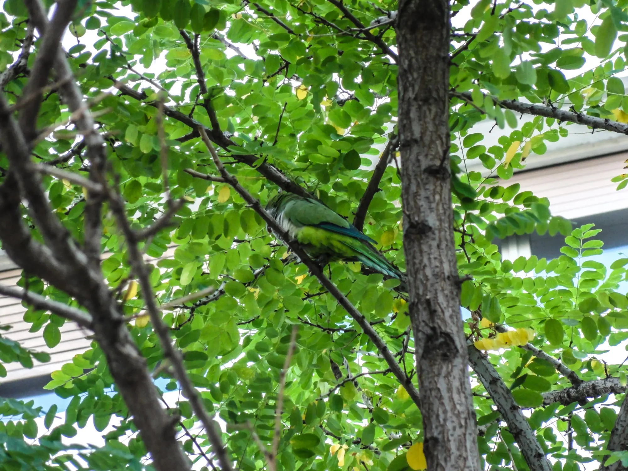 DSC02109