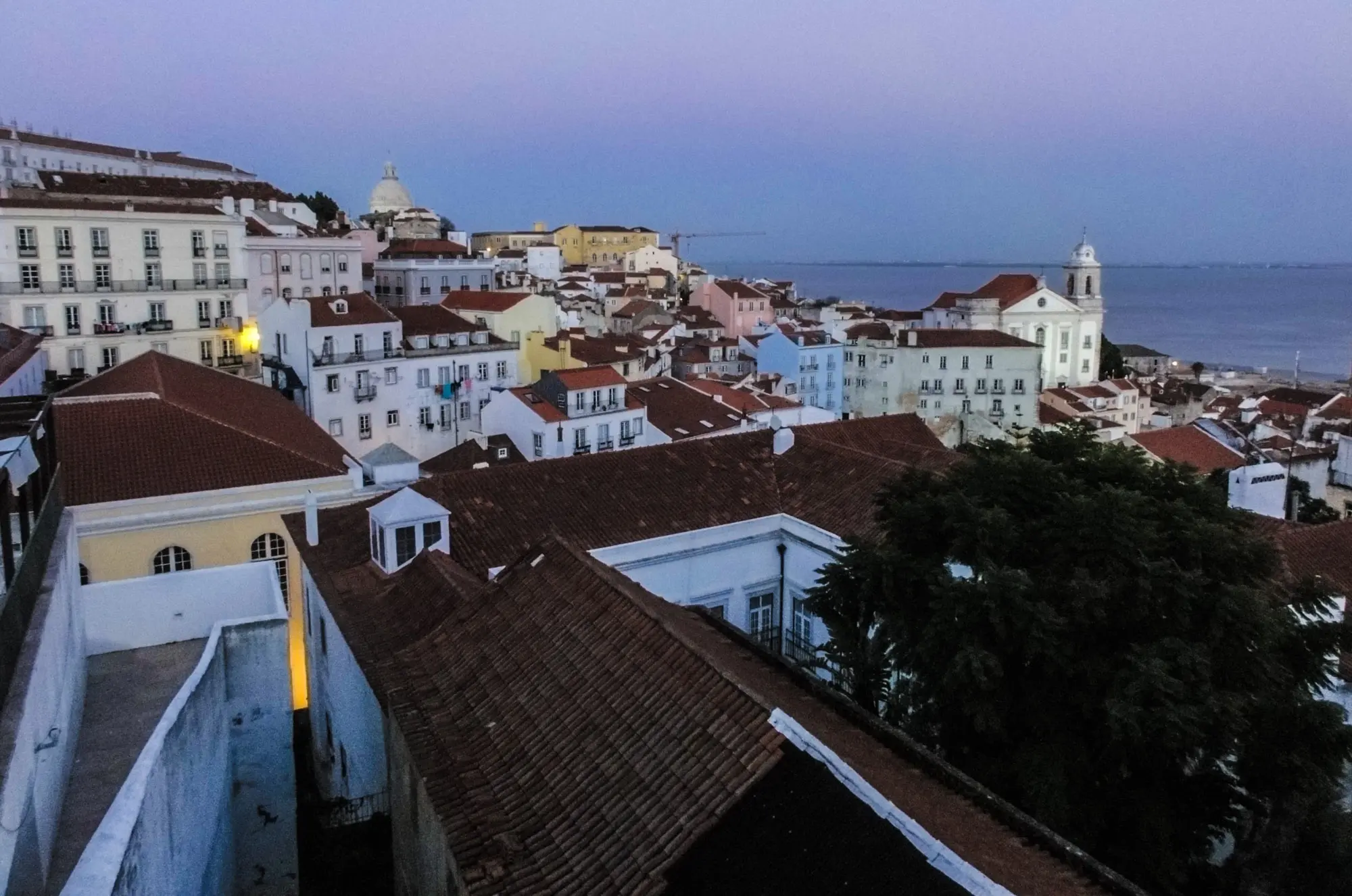 DSC02184