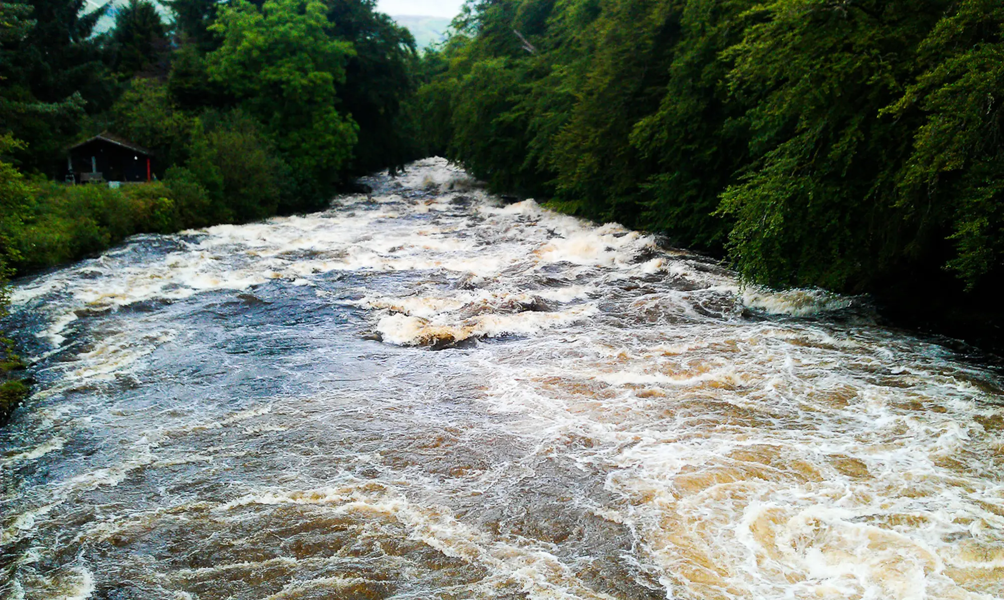 IMAG0033