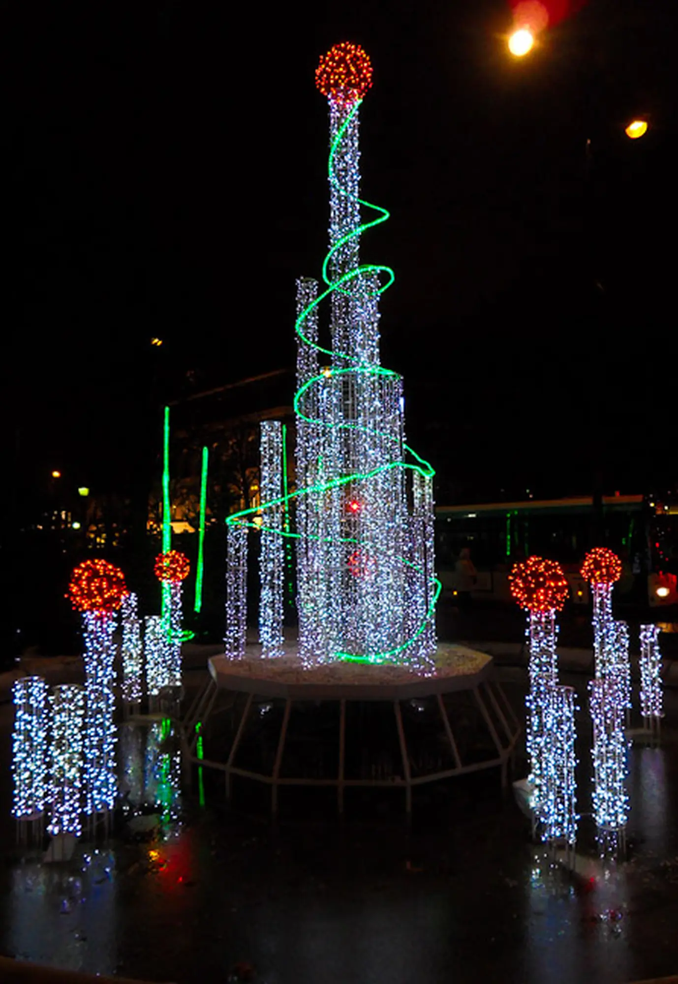 SDC11246